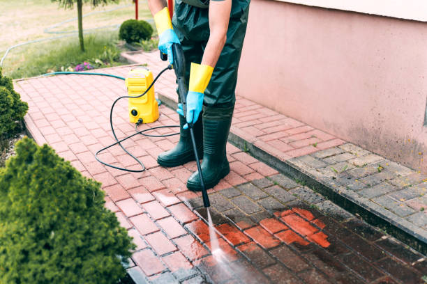 Best Roof Washing  in Jacksboro, TX